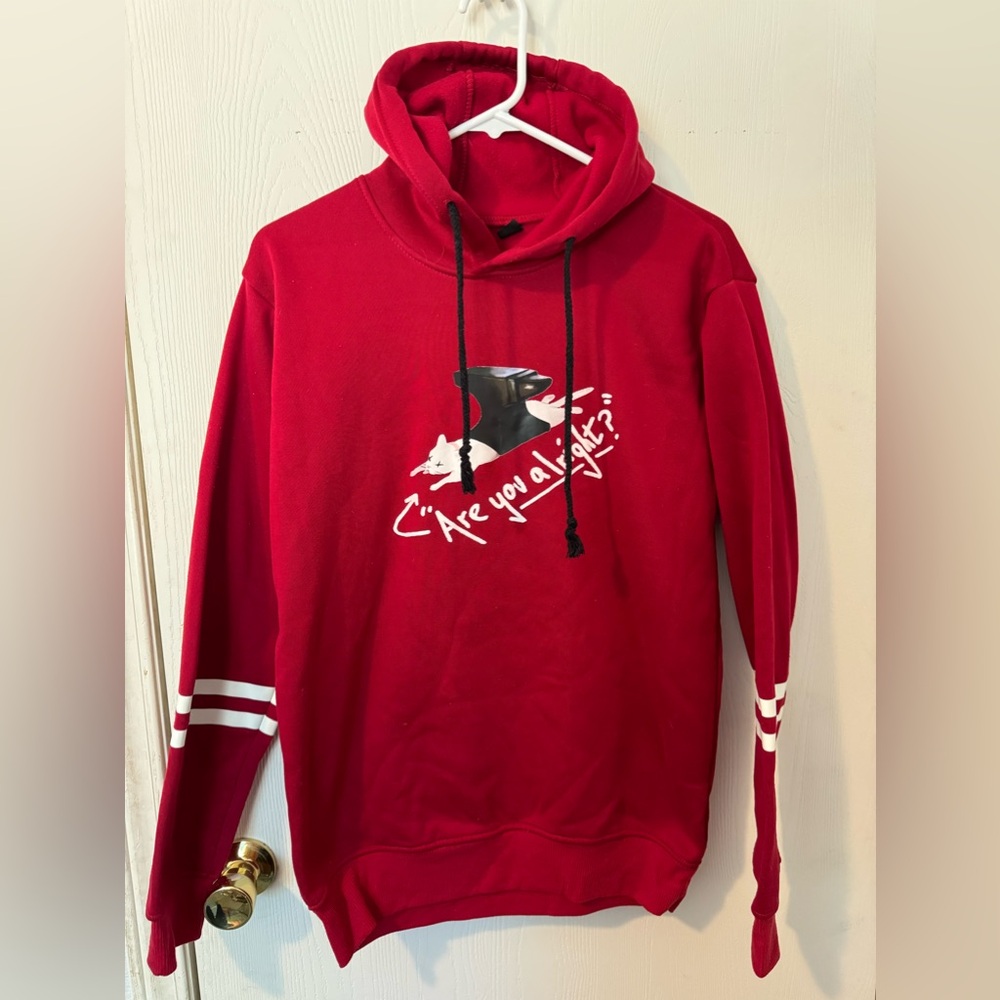 No brand hoodie- funny cat - size medium